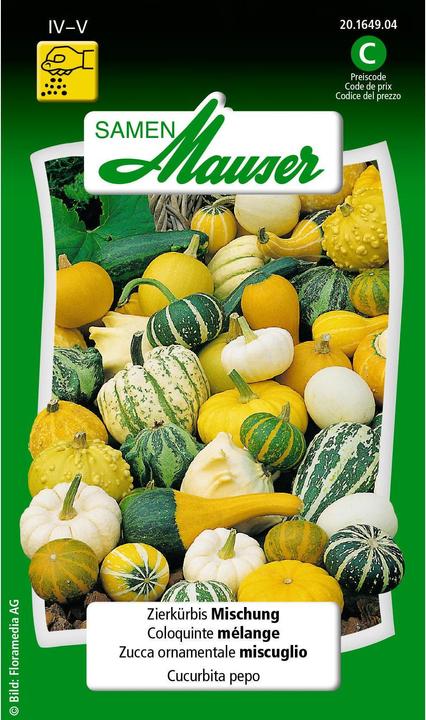 Mélange de courges décoratives (Graines de légumes)