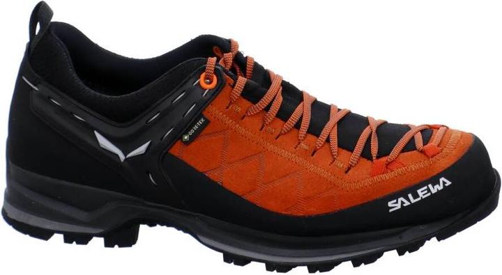 Image du produit Salewa Mountain Trainer 2 GORE-TEX® chaussures (41)