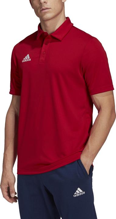 Actual product image adidas Entrada 22 polo shirt men (XS)