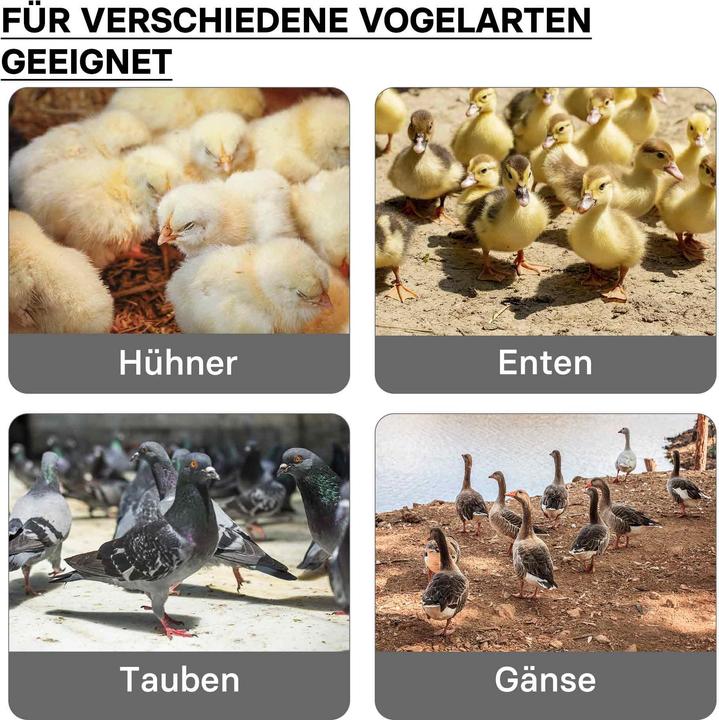 Produktbild Fudajo Küken-Wärmeplatte (30 W)