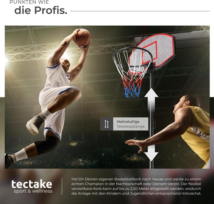 Image du produit tectake Basketball Hoop Harlem
