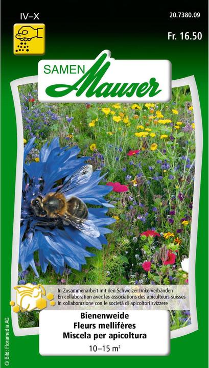 Samen Mauser Prairie mellifère (Réensemencement de la pelouse)