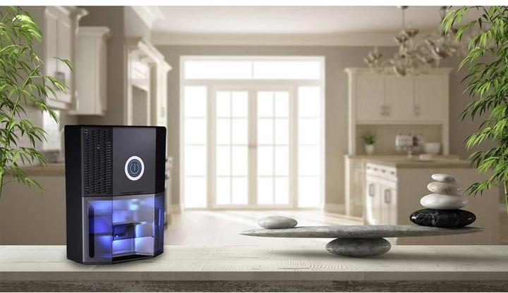 Image du produit Pingi Vida 1S (30 m², 0.25 l/24h)