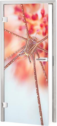 Image du produit Trenddeko Exotisme sous-marin (91 x 200 cm)