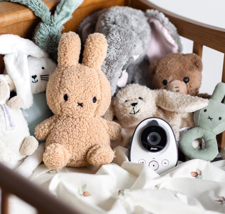 Actual product image Alecto Baby video surveillance (Video & Audio, 300 m)