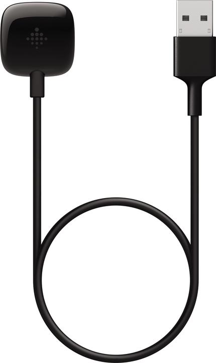 Image du produit Fitbit Câble de chargement