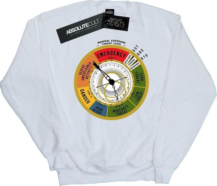 Actual product image Fantastic Beasts Boys Threat Level Sweatshirt (140, 146)