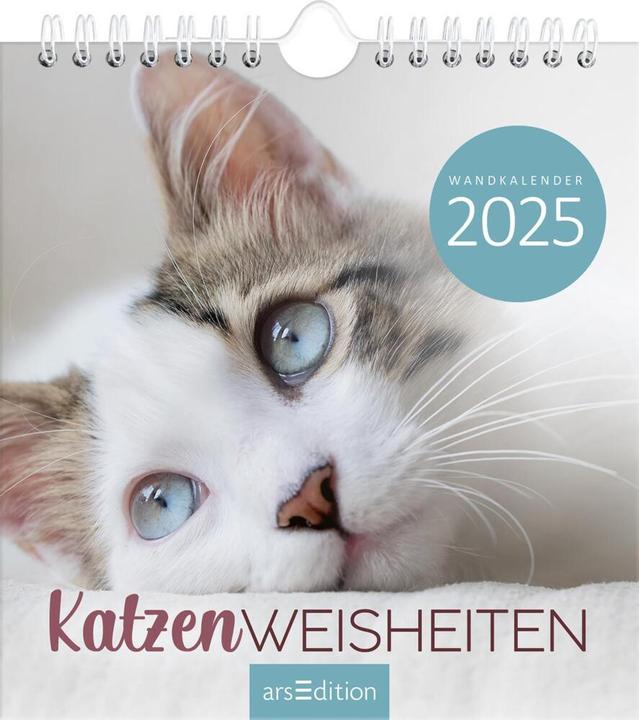 Wandkalender Katzenweisheiten 2025 (Harter Einband, Deutsch)