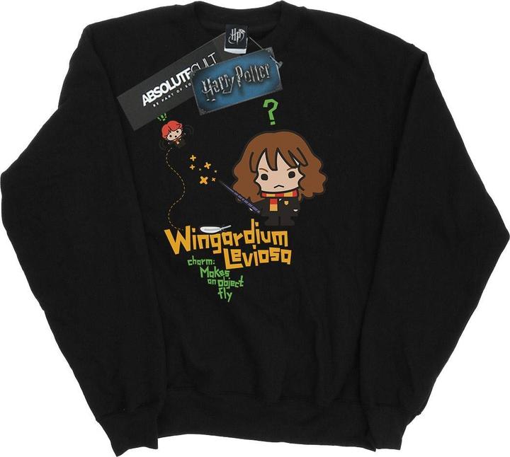 Image du produit - Sweat WINGARDIUM LEVIOSA - Garçon (128)