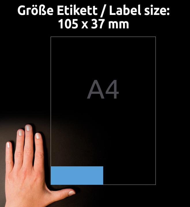 Actual product image Avery Organisational labels