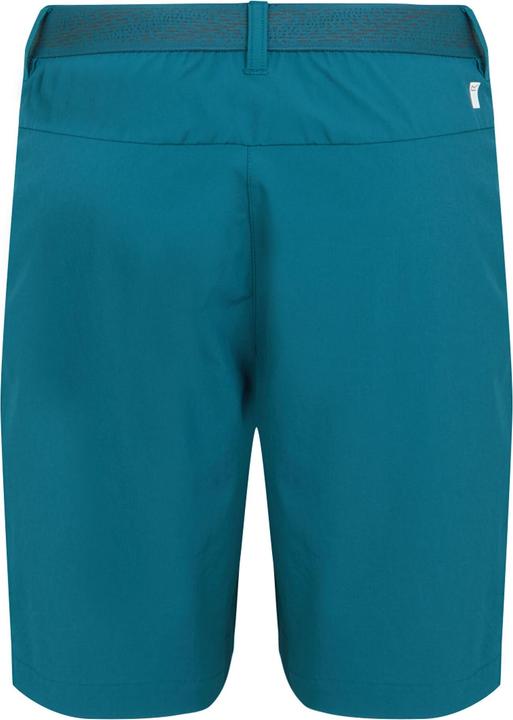 Actual product image Regatta Womens/Ladies Mountain II Shorts (46 D)