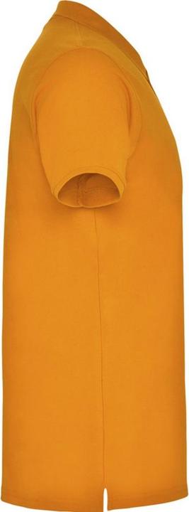 Actual product image Alpinia Mens Star Short-Sleeved Polo Shirt (M)