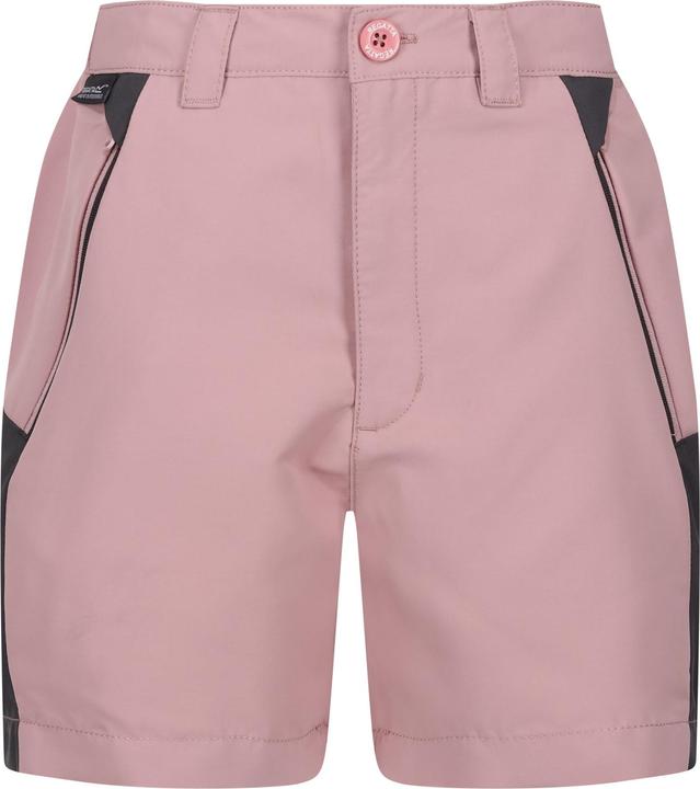 Regatta Sorcer Mountain III Shorts