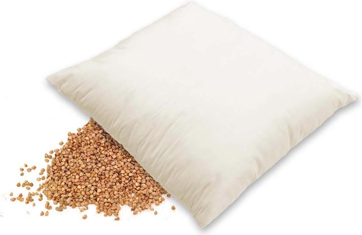 Actual product image Erzstef Buckwheat husk pillow (65 x 65 cm)