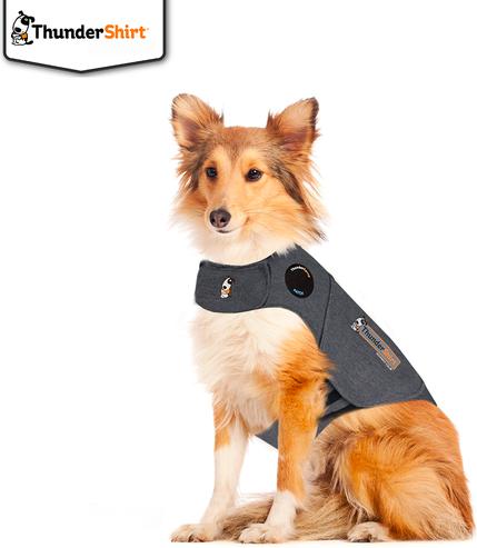 Immagine prodotto Tommi CZ ThunderShirt - Camicia a compressione S - (972891) (S, Gilet per cani)