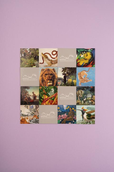 Produktbild Im Dschungel / In the Jungle (Englisch, Deutsch)