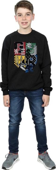 Image du produit Sweatshirt garçon (152, 158)