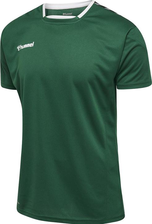 Image du produit hummel Authentic Poly Jersey S/S (S)