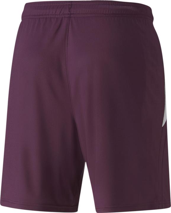 Produktbild Puma teamLIGA Shorts (XXL)