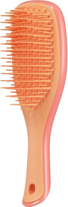Tangle Teezer Wet Detangler Mini