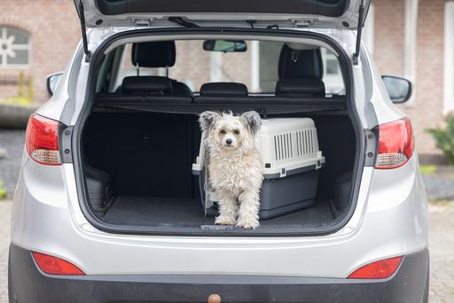 Actual product image Karlie Nomad (Dog, Cat, Lockable)