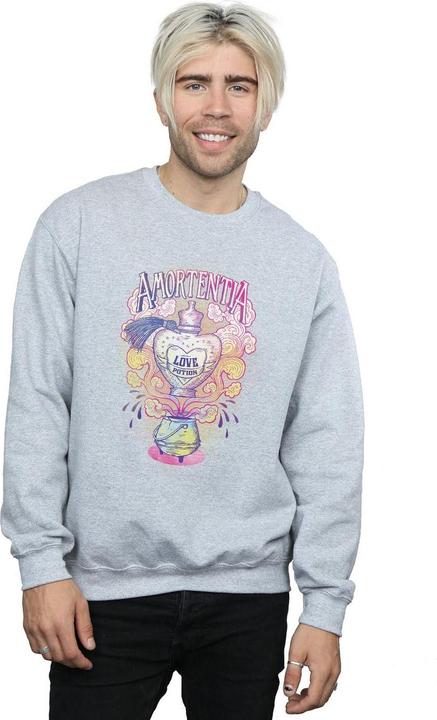 Produktbild Love Potion Sweatshirt (M)