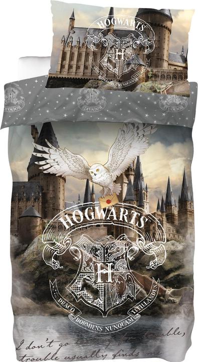 Immagine prodotto SkyBrands Castello di Hogwarts di Harry Potter