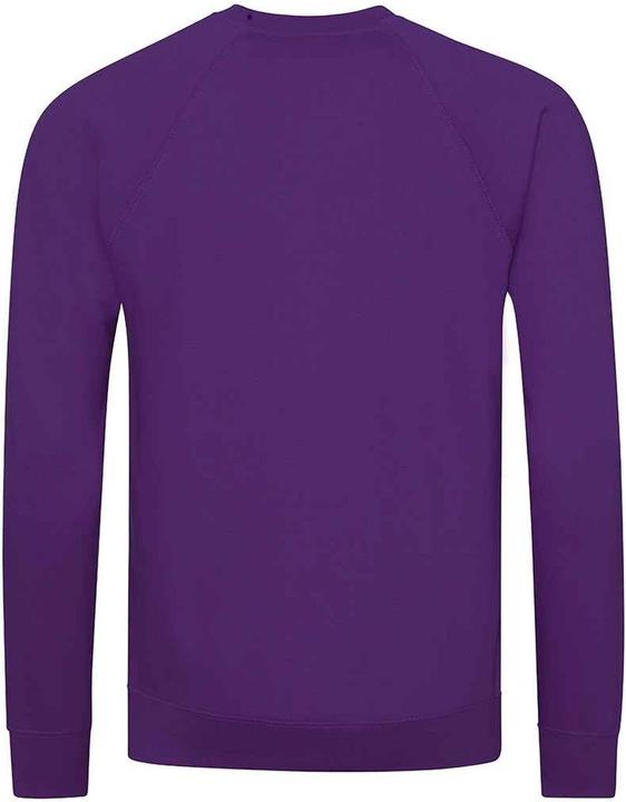 Actual product image Awdis Childrens/Kids Academy Raglan Sweatshirt (M)