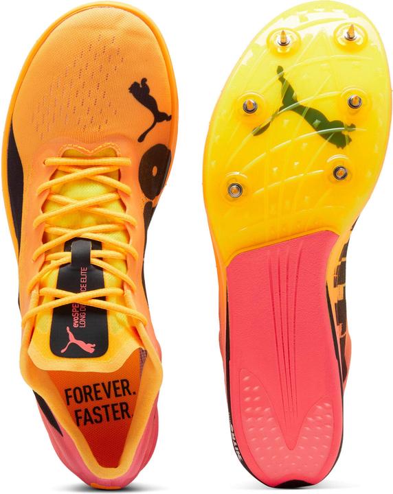 Actual product image Puma evoSPEED Long Distance Nitro Elite 2 (43)