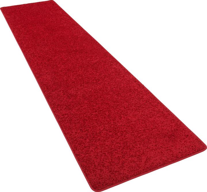 Rot
