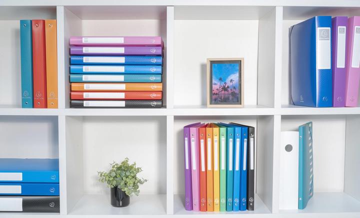 Actual product image Exacompta Ring binders (A4, 20 mm, 1 Piece)