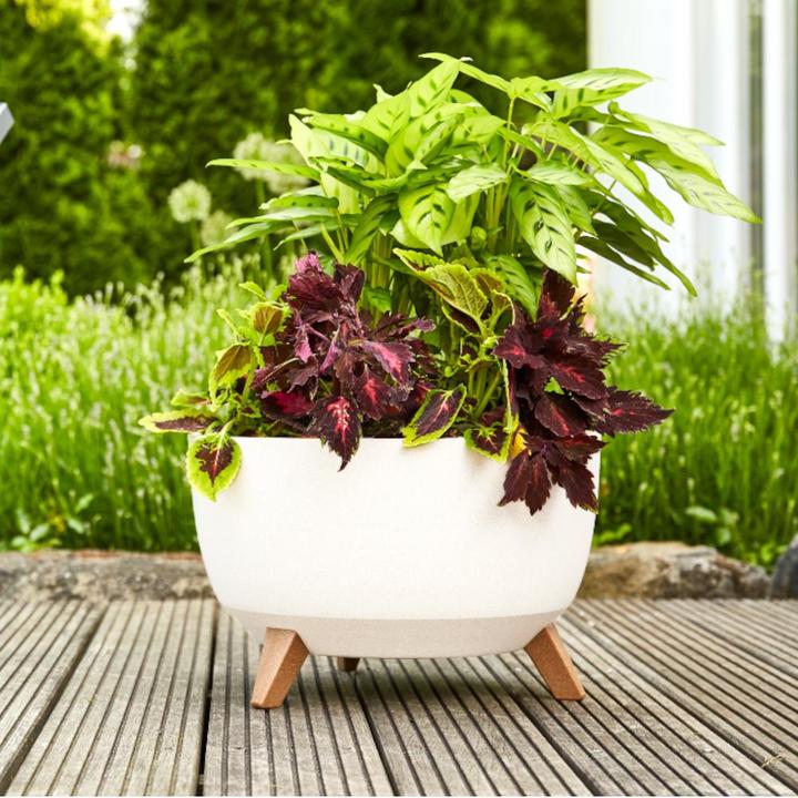 Produktbild Siena Garden Oslo (47 cm)