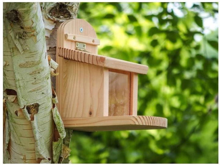 Actual product image Wildlife World Squirrel feeding station, 23 x 17 x 19 cm, FSC Mix