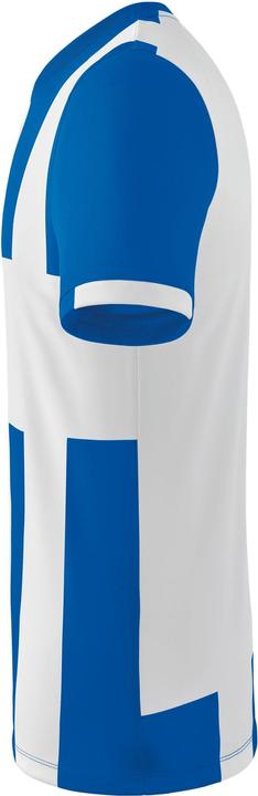 Actual product image Erima Siena 3.0 jersey (164)