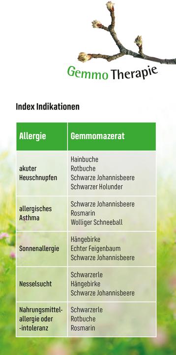 Image du produit Allergien (Allemand, Andreas Nieswandt, 2020)