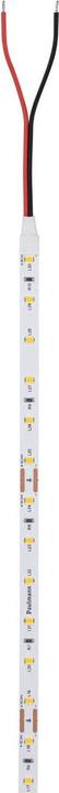 Immagine prodotto Paulmann Pro Strip Argento P25 (Arancia, 500 cm, Interno)