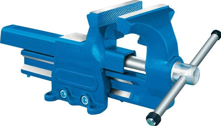 Forum Professional Solutions Parallelschraubstock 100mm m.Ambossfl. (127 mm)