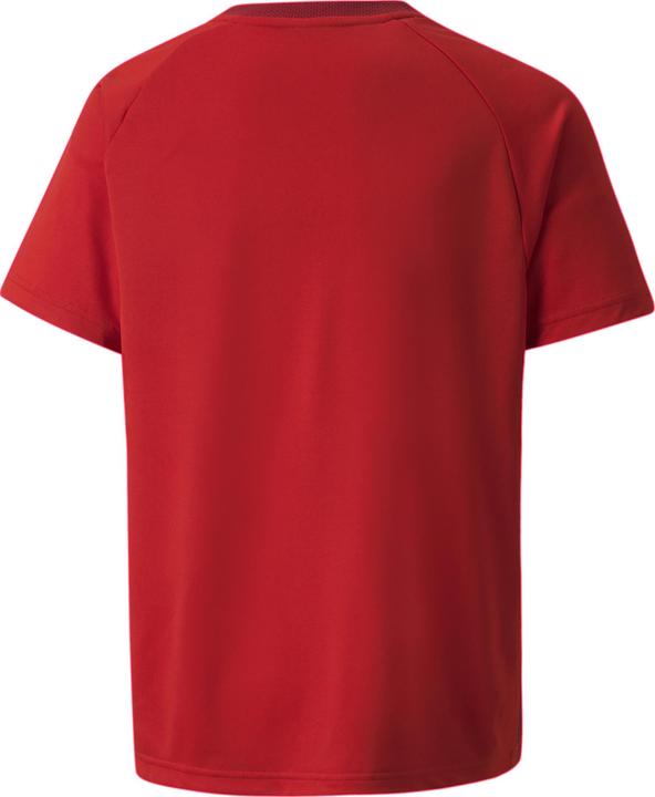 Actual product image Puma teamVISION Jersey Jr-704928 (164)