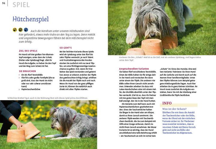 Produktbild Spiele und Action für ausgeglichene Hütehunde (Deutsch, Marion Albers, 2023)