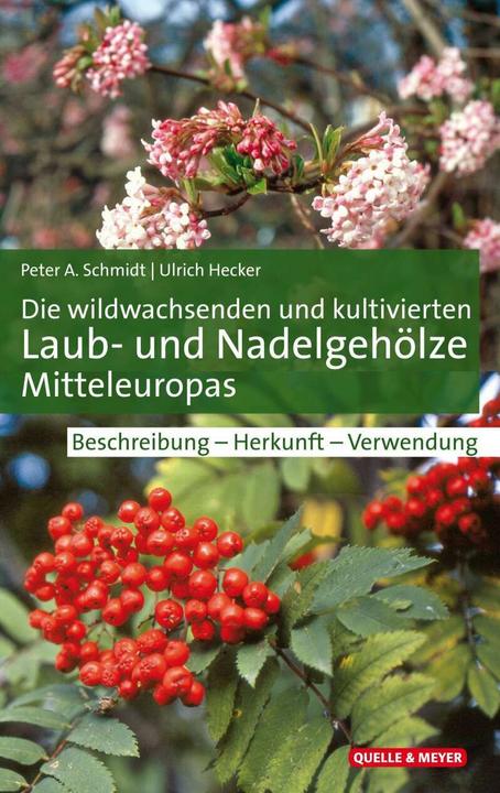 Produktbild Die wildwachsenden und kultivierten Laub- und Nadelgehölze Mitteleuropas (Deutsch, Ulrich Hecker, Peter A. Schmidt, 2020)