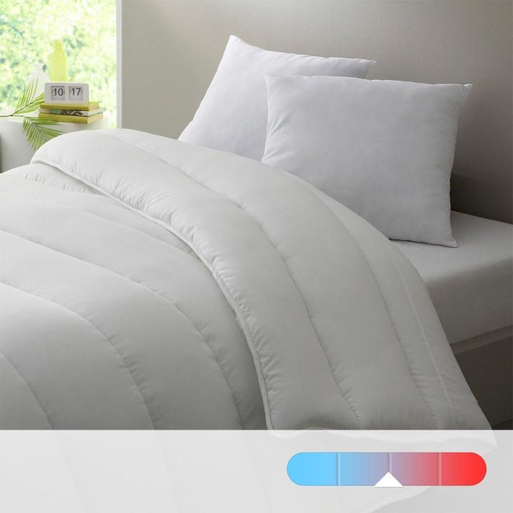 Image du produit La Redoute Interieurs Couette Synthetique (260 x 240 cm)
