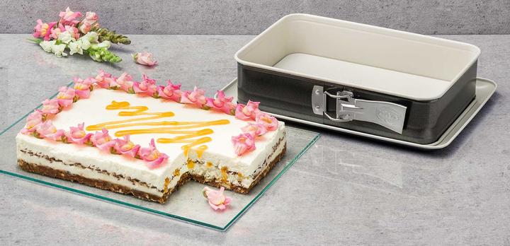 Actual product image Dr. Oetker Springform pan
