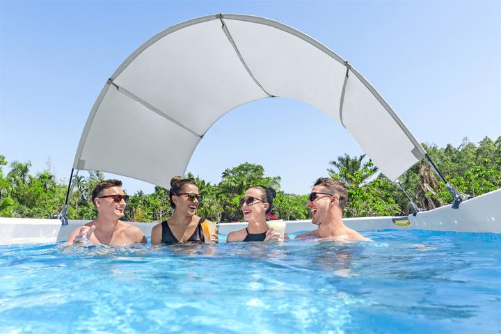 Produktbild Bestway Pool Canopy