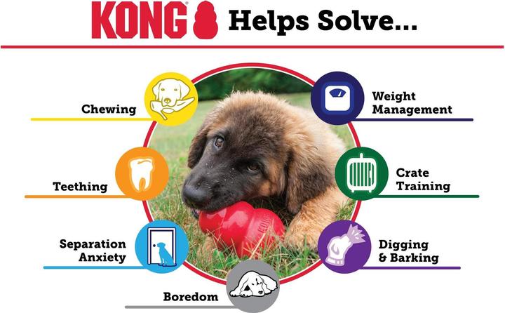 Image du produit KONG Chiot (Jouet pour chiot)