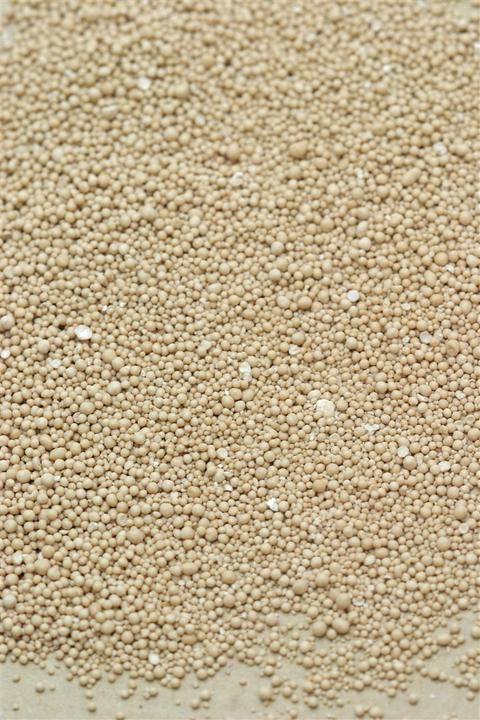 Actual product image Arkopharma Arkocaps Bierhefe Kapseln (150 Piece, Granulate, 125 g)