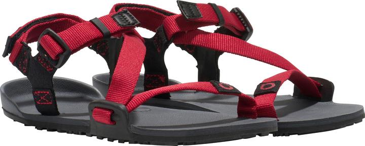 Image du produit Xero Shoes Z-Trail (30)