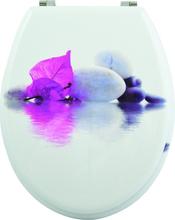 Image du produit MSV Andreas