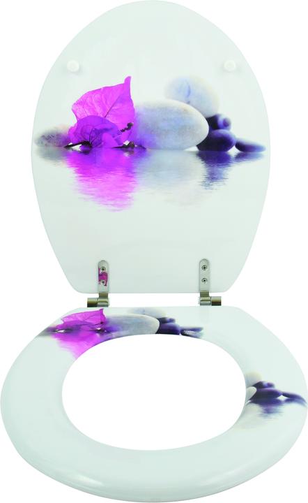 Image du produit MSV Andreas