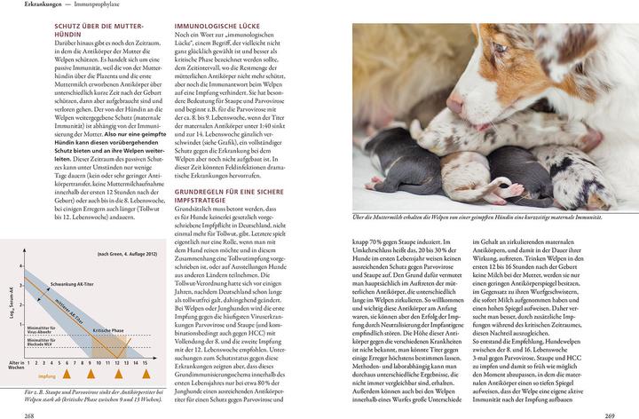 Produktbild Kosmos Hundezucht (Deutsch, Helga Eichelberg, 2022)