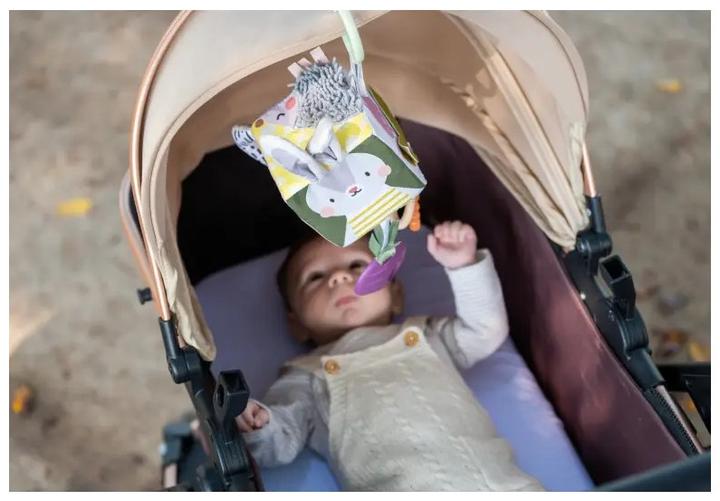 Immagine prodotto Taf Toys Giardino urbano